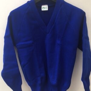 Jersey Full Sleeved v neck Royal