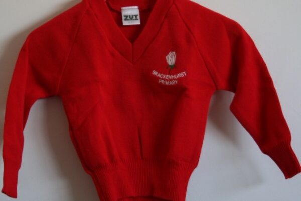Jersey Full Sleeved Bracken Primary