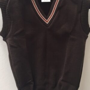 Jersey Sleeveless Dinwiddie Primary