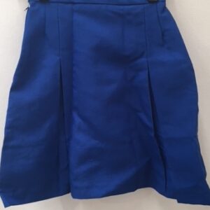 Skirts Inverted Royal